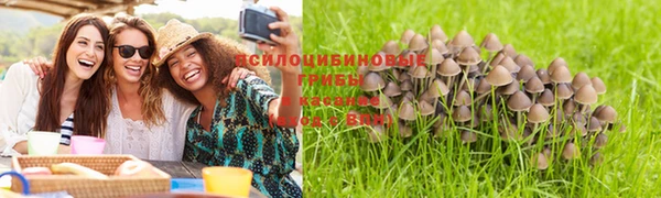 мяу мяу мука Арсеньев