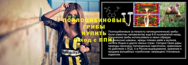 а пвп мука Армянск
